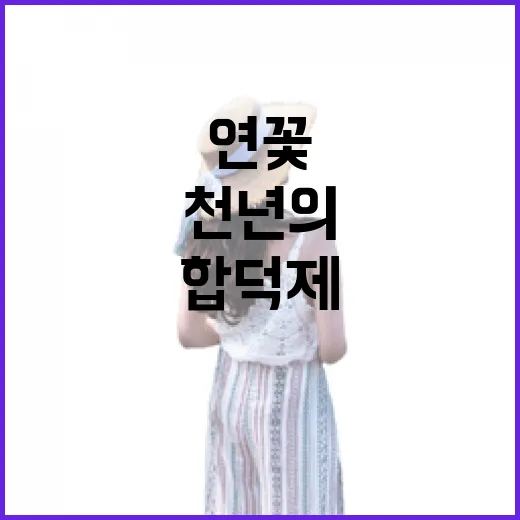 천년의 합덕제, 연꽃과 역사가 흐르는 힐링 명소