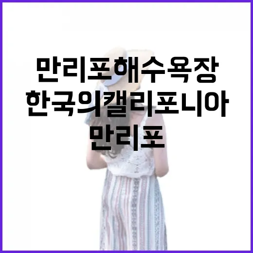 한국의 캘리포니아, 만리포 해수욕장 풍경