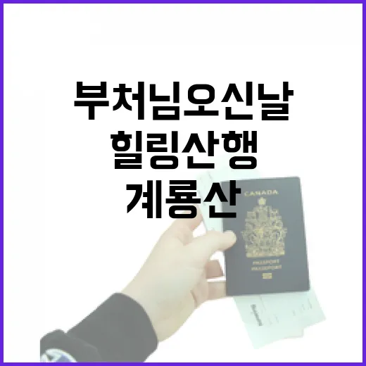 계룡산 남매탑, 부처님 오신 날 힐링 산행
