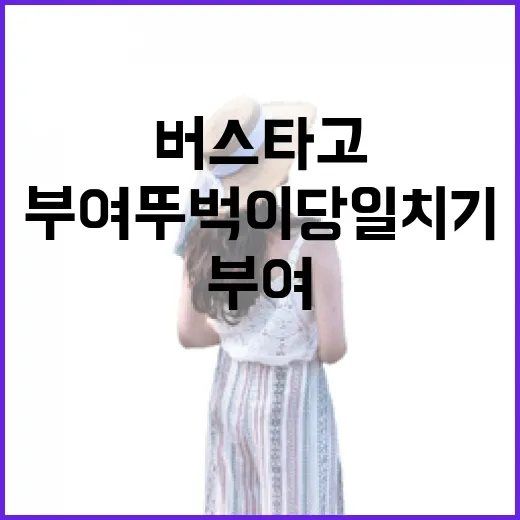 버스 타고 즐기는 부여 뚜벅이 당일치기