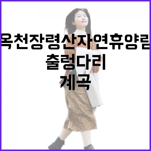 옥천 장령산자연휴양림, 계곡과 출렁다리 힐링 명소