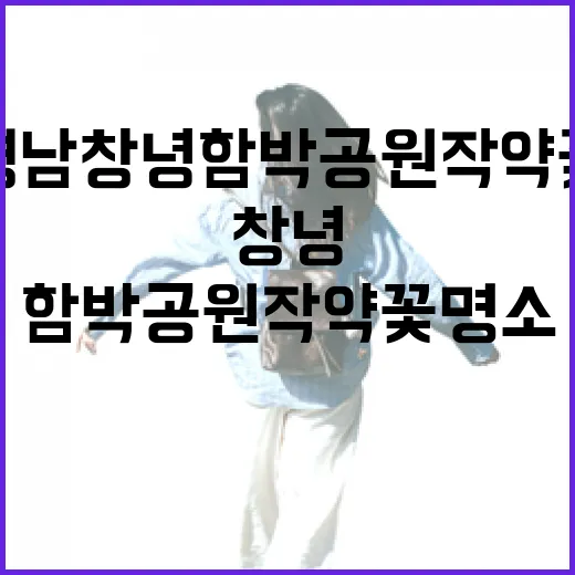 경남 창녕 함박공원 작약꽃 명소