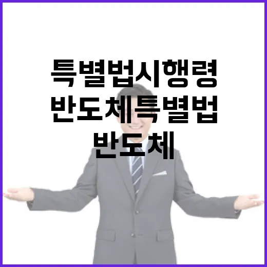 반도체특별법 시행령 발표 시기 미정
