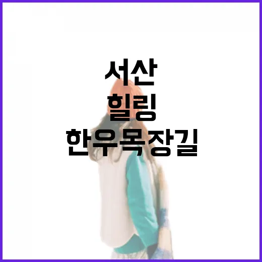 서산 한우목장길, 초록 물결 속 힐링 산책로