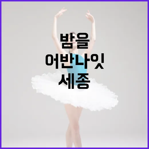 세종 어반나잇 네온, 오월 밤을 밝히다