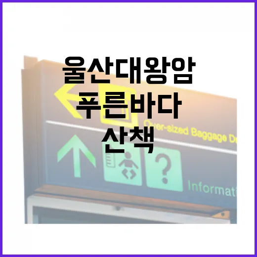 울산 대왕암과 푸른 바다의 역사 산책
