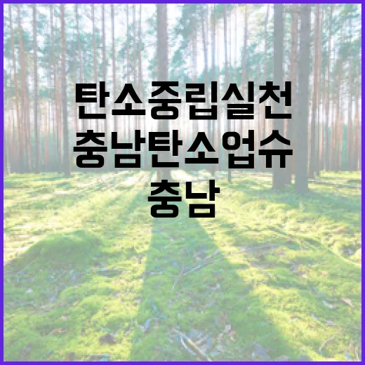 충남 탄소업슈, 일상 속 탄소중립 실천 보상 확대