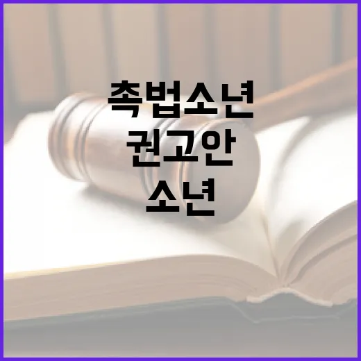 촉법소년 제도개선 권고안, 신중한 보도 필요