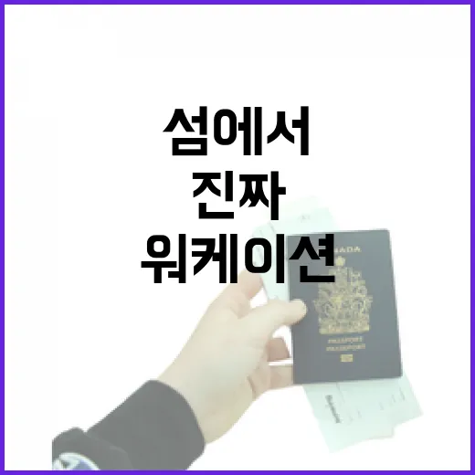 섬에서 누리는 진짜 워케이션 체험