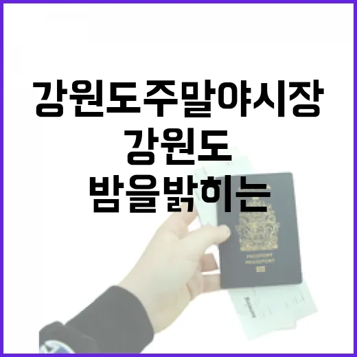 강원도 주말 야시장, 밤을 밝히는 특별한 즐거움