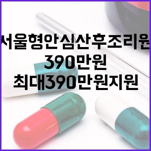 서울형 안심 산후조리원, 최대 390만원 지원 시작