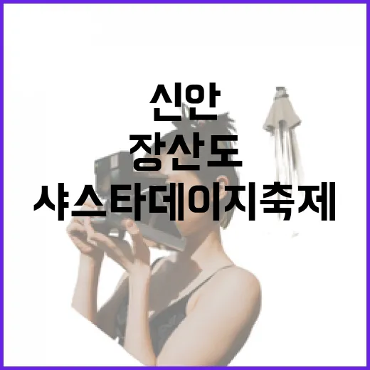 신안 장산도 샤스타데이지 축제의 순백 향연