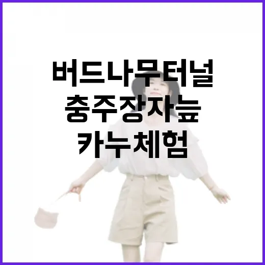 충주 장자늪 버드나무 터널 카누체험