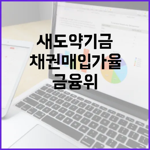 금융위, 새도약기금 채권 매입가율 공정성 강조