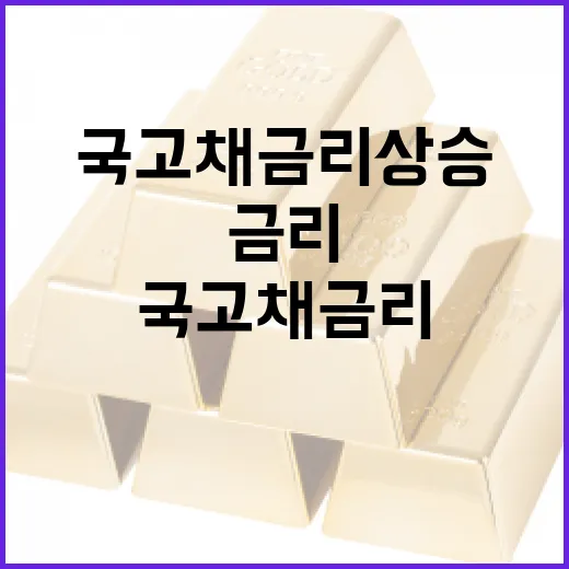 국고채 금리 상승 원인 명확히 밝혀
