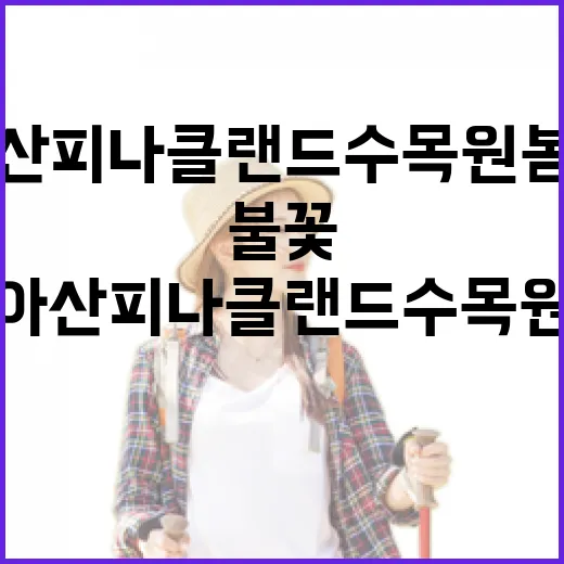 아산 피나클랜드 수목원 봄꽃과 불꽃의 향연