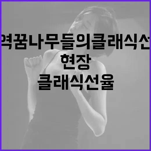 지역 꿈나무들의 클래식 선율 현장