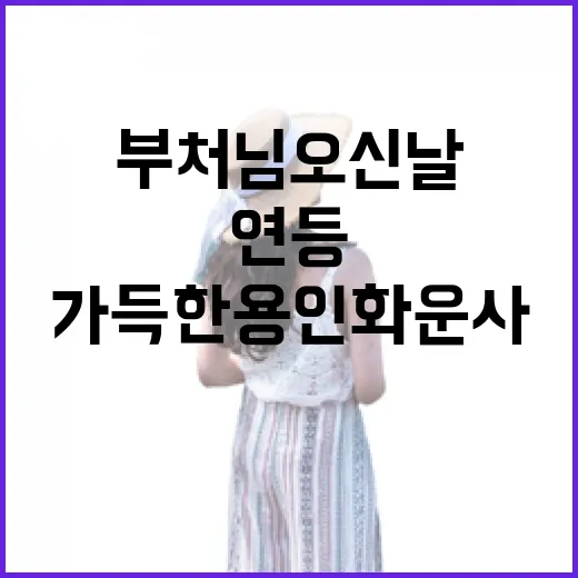 연등 가득한 용인 화운사 부처님 오신 날 풍경