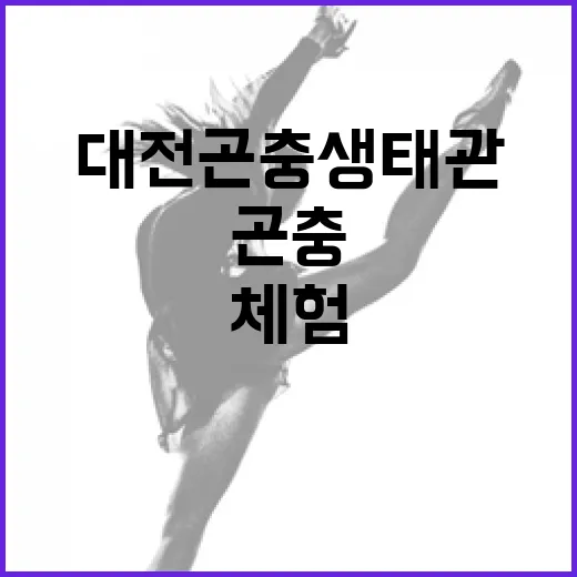 대전곤충생태관 나비표본 체험 현장