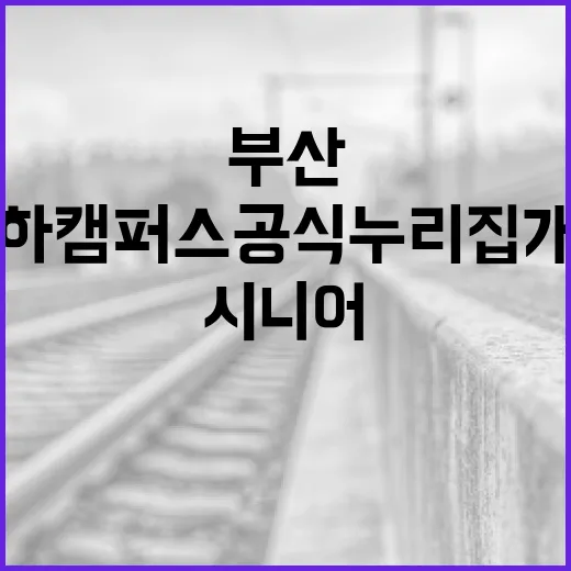 부산 하하캠퍼스 공식 누리집 개설, 시니어 맞춤 정보 제공