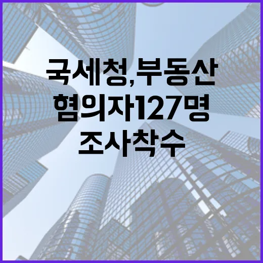국세청, 부동산 탈루혐의자 127명 집중 조사 착수