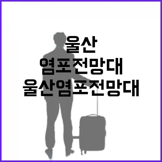 울산 염포전망대 낮 풍경의 매력