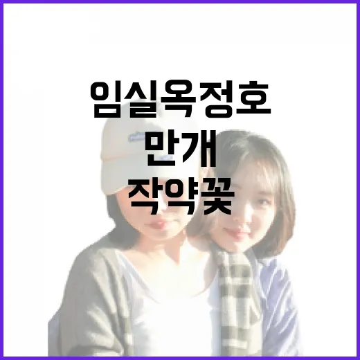 임실 옥정호 작약꽃 만개 풍경