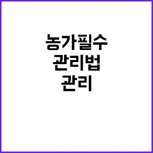 국화 농가 필수 야…