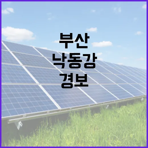 부산 낙동강 녹조경보 강화로 시민 안전 확보