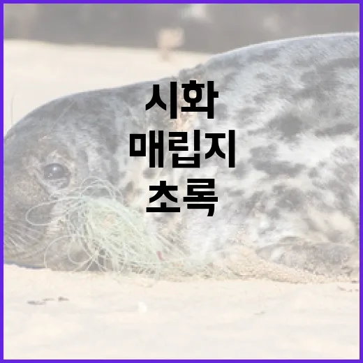 시화 매립지, 초록 생태정원으로 변신