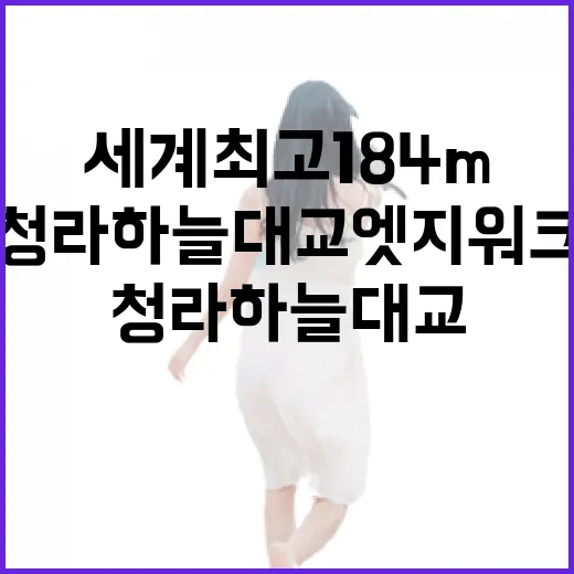 세계 최고 184m 청라하늘대교 엣지워크 체험기