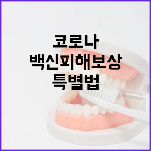 특별법 따라 코로나 백신 피해보상 강화