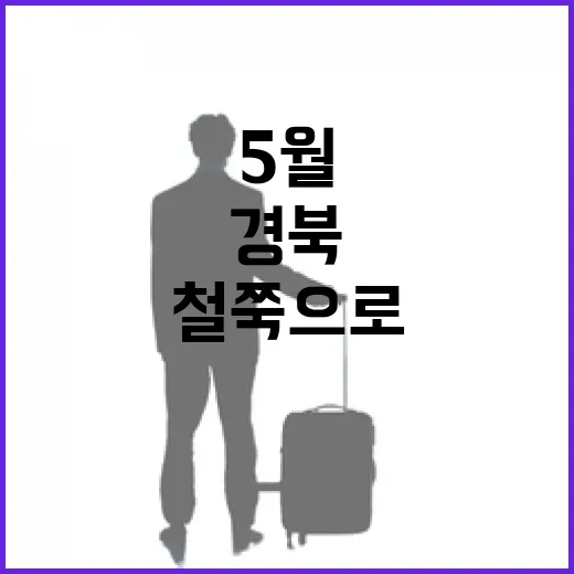 경북 5월, 철쭉으로 물든 산의 향연