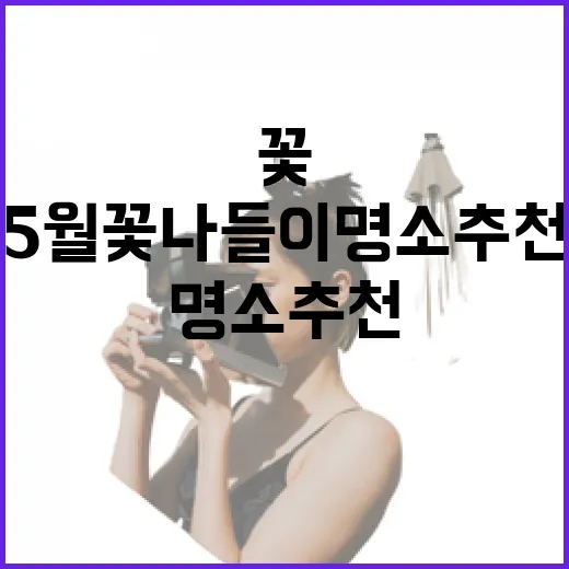 전남 5월 꽃 나들이 명소 추천