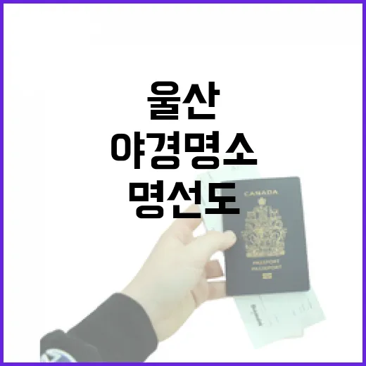 울산 명선도, 신비로운 야경 명소