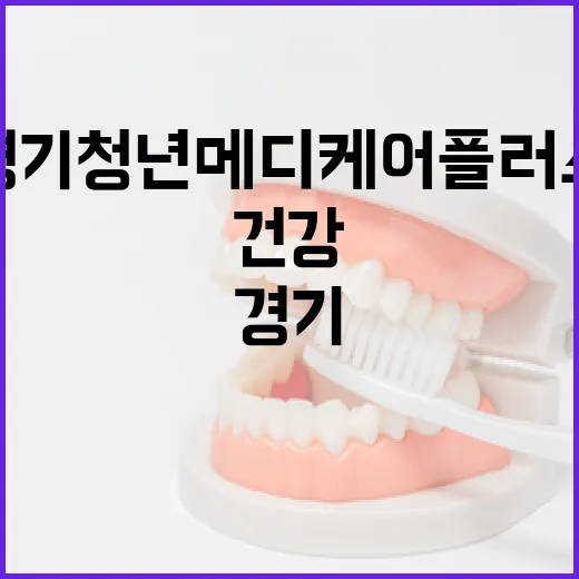 경기청년 메디케어 플러스, 청년 건강 지킴이