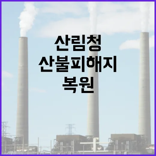 산불피해지 복원, 산림청 관리 강화