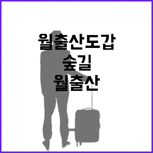 초록 숲길 따라 걷는 월출산 도갑지구