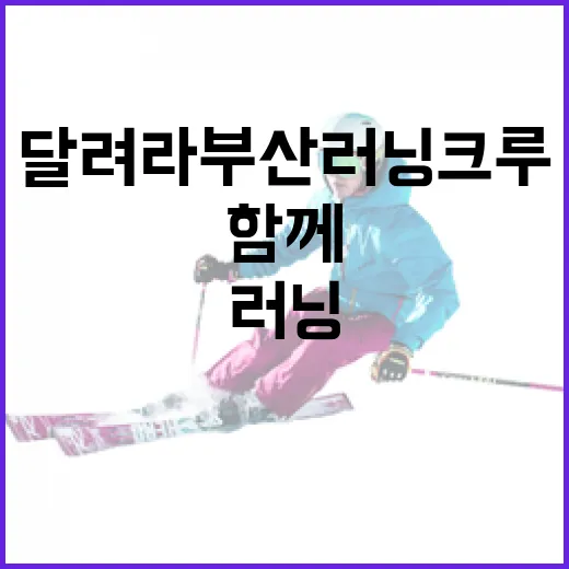 달려라부산 러닝크루, 건강한 일상 함께 달리자