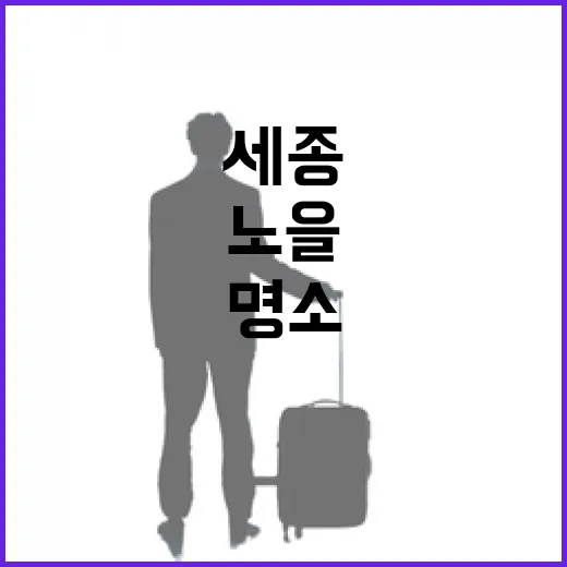 세종 깁가람 수변공원, 노을과 피크닉 명소
