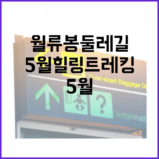 월류봉 둘레길 5월 힐링 트레킹