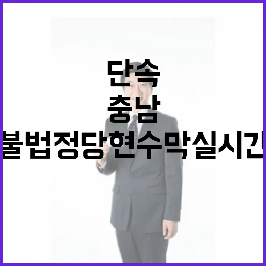 충남, 불법 정당현수막 실시간 단속 강화