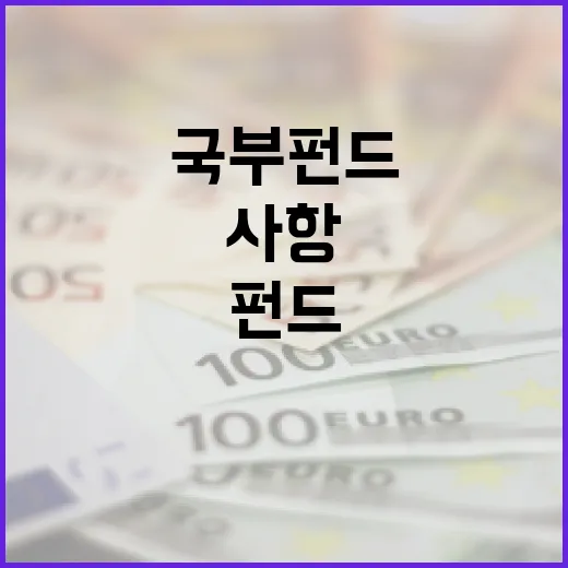 국부펀드 관련 결정된 사항 전무