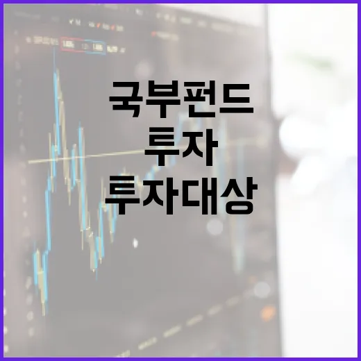 국부펀드 재원·투자대상 아직 미정