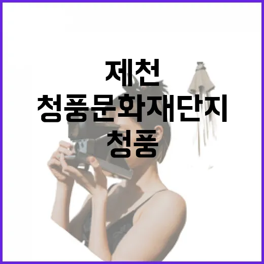 제천 청풍문화재단지, 자연과 역사의 만남