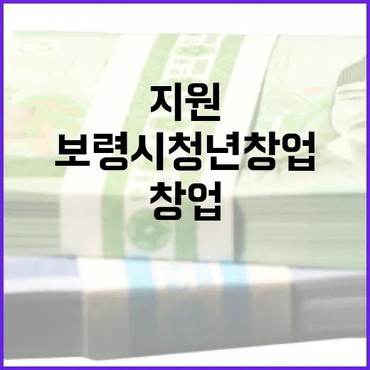 보령시 청년 창업, 단계별 교육으로 지원 강화