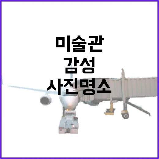 폐교 미술관, 감성 인생사진 명소로