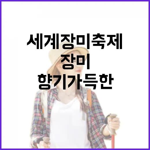 곡성 세계장미축제, 5월 향기 가득한 축제 현장
