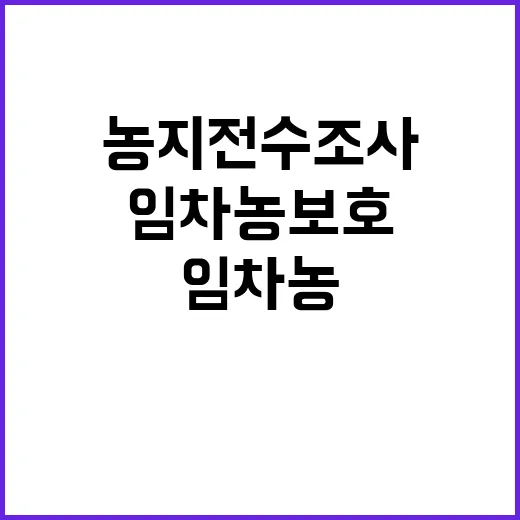농지 전수조사 임차…