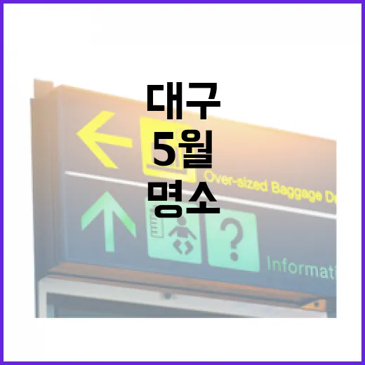 대구 도심 속 5월 저녁 산책 명소